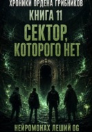 Хроники Ордена Грибников. Книга 11. Сектор, которого нет