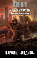 Пароль: «Индиго»