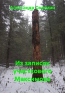 Из записок участкового Максимова