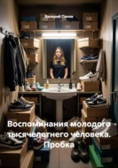 Воспоминания молодого тысячелетнего человека. Пробка