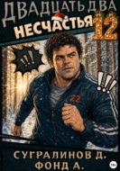 Двадцать два несчастья. Книга 12
