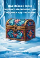 Дед Мороз и тайна ледяного меридиана, или Снеговики идут на полюс