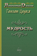 Мудрость