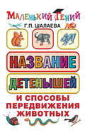 Название детенышей и способы передвижения животных