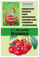 Вишня