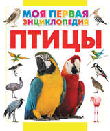 Птицы