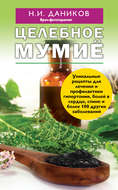 Целебное мумиё