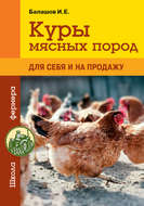 Куры мясных пород