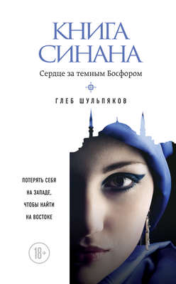 Книга Синана. Сердце за темным Босфором