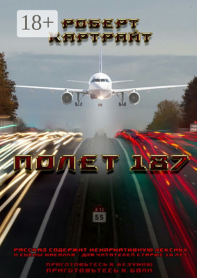 Полёт 187. Из цикла рассказов «Приготовьтесь к безумию. Приготовьтесь к боли»