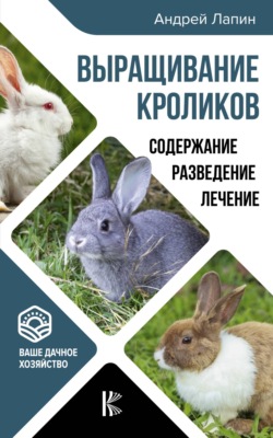 Выращивание кроликов. Как содержать, разводить, лечить – советы профессионалов. Лучшие породы