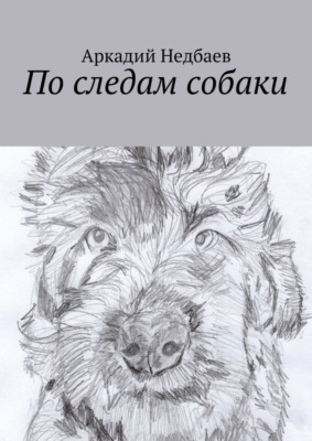 По следам собаки