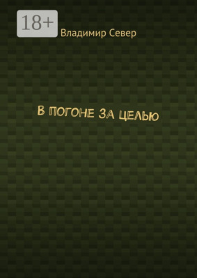 В погоне за целью