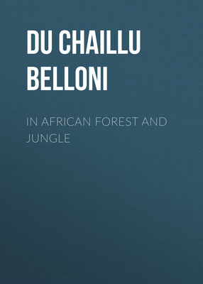 In African Forest and Jungle