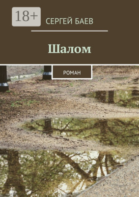 Шалом. Роман