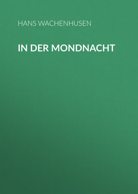 In der Mondnacht
