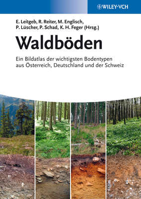 Waldböden