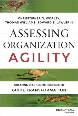 Assessing Organization Agility