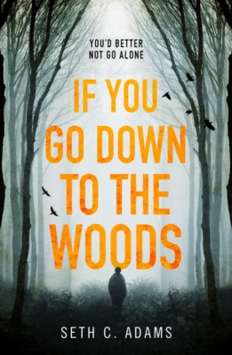If You Go Down to the Woods: The most powerful and emotional debut thriller of 2018!