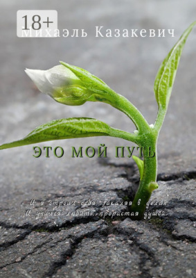 Это мой путь