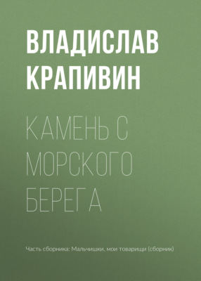 Камень с морского берега