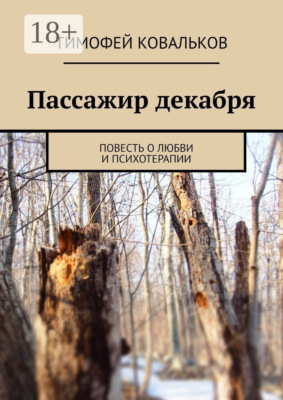 Пассажир декабря. Повесть о любви и психотерапии