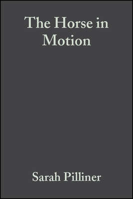 The Horse in Motion
