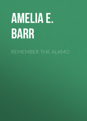 Remember the Alamo