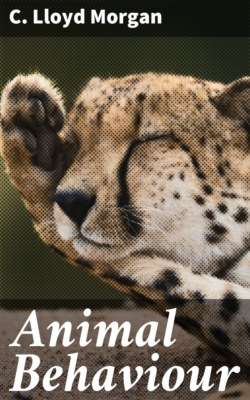 Animal Behaviour