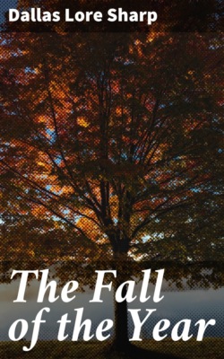 The Fall of the Year
