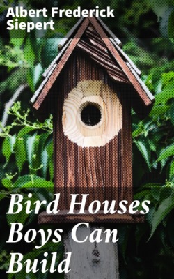 Bird Houses Boys Can Build