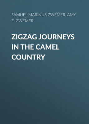 Zigzag Journeys in the Camel Country