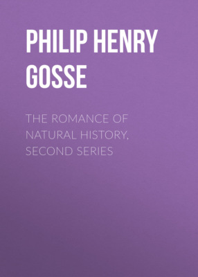 The Romance of Natural History, Second Series