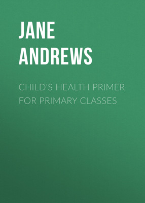 Child's Health Primer For Primary Classes