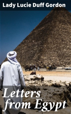 Letters from Egypt