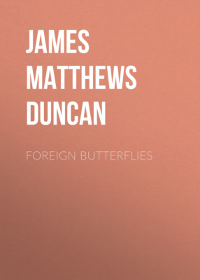 Foreign Butterflies