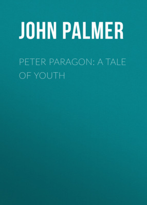 Peter Paragon: A Tale of Youth
