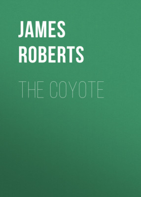 The Coyote