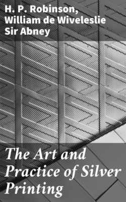 The Art and Practice of Silver Printing