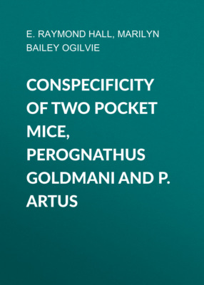 Conspecificity of two pocket mice, Perognathus goldmani and P. artus