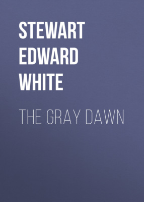 The Gray Dawn
