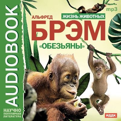Жизнь животных. Обезьяны