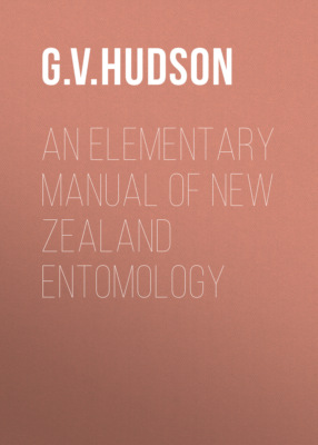 An Elementary Manual of New Zealand Entomology