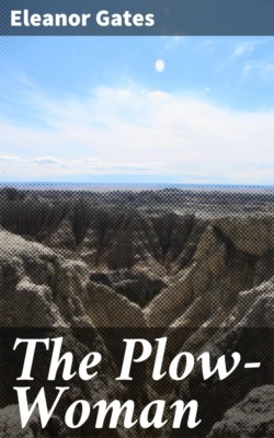 The Plow-Woman
