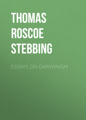 Essays on Darwinism