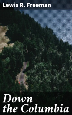 Down the Columbia