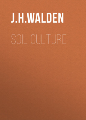 Soil Culture