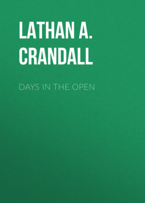 Days in the Open