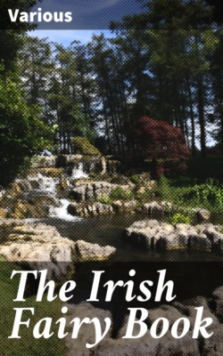 The Irish Fairy Book