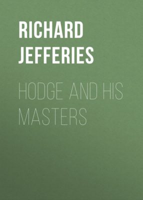 Hodge and His Masters